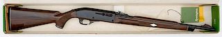 *Remington Nylon 66 Rifle 