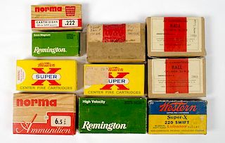 Assorted Rifle Ammo Lot of Ten 