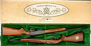 *Canadian Centennial Rifles Ruger 10/22 and Remington Model 742 