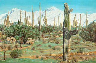 Nita Denison, Untitled (Saguaro Desert)