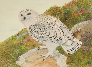 J. Holden, Untitled (Snowy Owl), 1972
