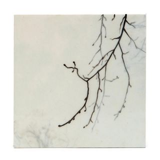 AMERICAN SCHOOL, "SMALL BRANCHES", RESIN M/M 2008