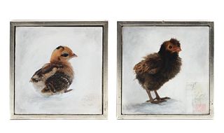 ANDE COOK, 2PC BABY BIRDS M/M & OIL ON CANVAS