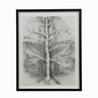 ANGUS GALLOWAY, CHARCOAL ON PAPER, "TREE"