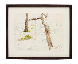 JAMES TAYLOR, SWIMMING HOLE W/ SWING WATERCOLOR