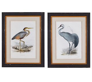Grp: 2 John Gould Bird Prints from "Birds of Europe"