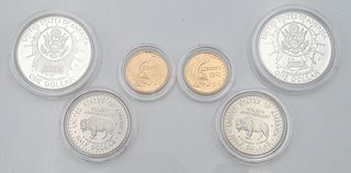 Six Piece Coin Lot, to include two proof 5 dollar gold coins, along with six 1991 Mount Rushmore coins, to include three uncirculated, one proof cop