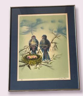 Signed & Numbered JUSTIN PINES 95/260 Print of Songbirds Nesting