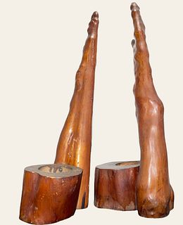 Pair of Mid Century CYPRESS KNEE Candle Holders