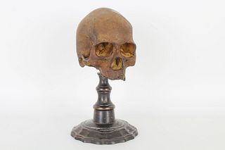 Neapolitan Gesso Carving of a Memento Mori Skull