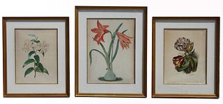 (3) Lefer Botanical Watercolors