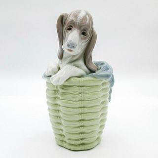 Dog in Basket 1001128 - Lladro Porcelain Figurine