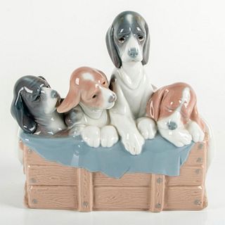 Pup's in the Box 1001121 - Lladro Porcelain Figurine