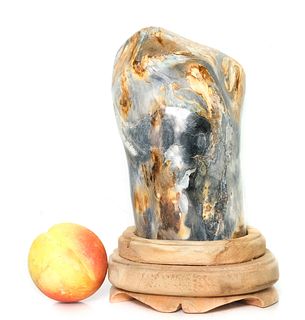 Polished Petrified Wood Sculpture on Stand