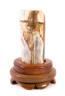 Polished Petrified Wood Sculpture on Stand