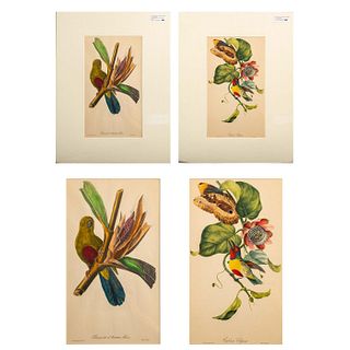 2pc Color Lithographic Prints, Pageantry of Tropical Birds