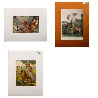 3pc Animal Art Prints 1886 - 1923