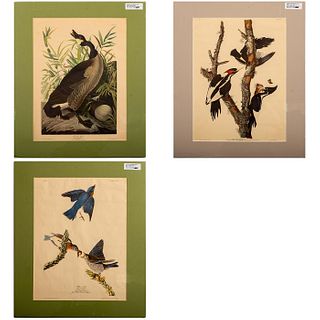 3pc Audubon Reproduction Prints, Bluebird Woodpecker Goose