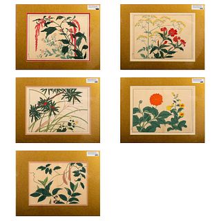 5pc After Sakai Hoitsu, Flowers of the Four Seasons Prints