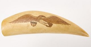 Robert Spring - Scrimshaw Tooth with Eagle