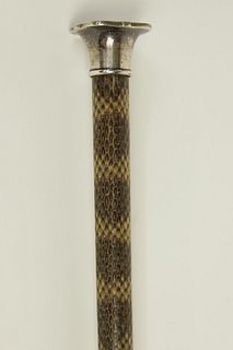 Lady's Silver Capped Walking Stick, 19th Century