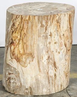 20 Million Year Petrified Wood