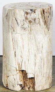 20 Million Year Petrified Wood