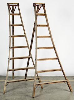 2 Vintage Orchard Ladders.