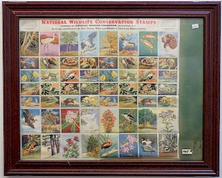 Framed Stamp Collection