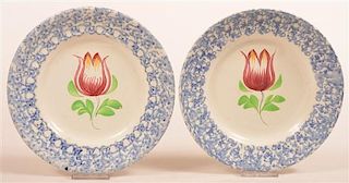 Two Blue Sponge Tulip Pattern China Plates.