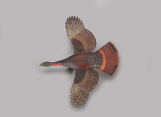 Miniature Flying Turkey, Aubrey Jones Dando (b. 1885)