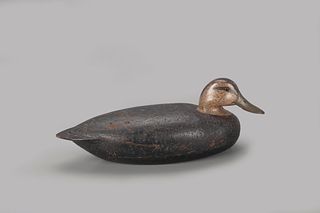 Black Duck Decoy, Louis C. Rathmell (1898-1974)