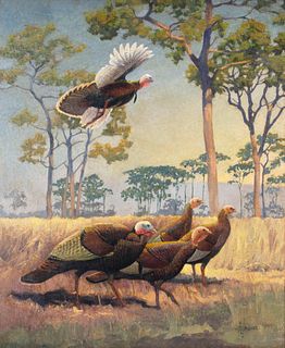 Francis Lee Jaques (1887-1969), Wild Turkey