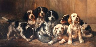 Edmund Henry Osthaus (1858-1928), Setter Puppies