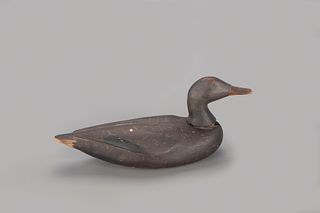 Rocking-Head Black Duck Decoy, Augustus Aaron Wilson (1864-1950)