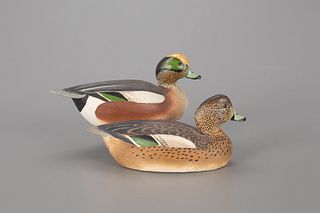 Miniature Wigeon Pair, The Ward Brothers