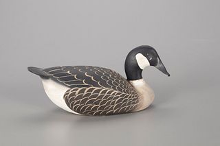 Miniature Canada Goose, The Ward Brothers