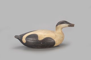 Eider with Mussel, Mark S. McNair (b. 1950)