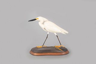 Snowy Egret, William Gibian (b. 1946)