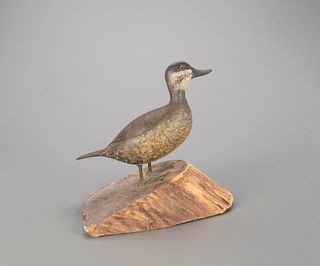 Standing Ruddy Duck, Homer Lawrence (1889-1968)