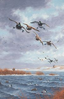 Daniel Loge (b. 1954), Bluebill Hunting
