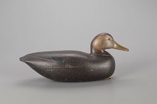 The Mackey-Purnell Watson Black Duck Decoy, Dave "Umbrella" Watson (1851-1939)
