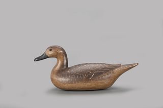 Early Pintail Hen Decoy