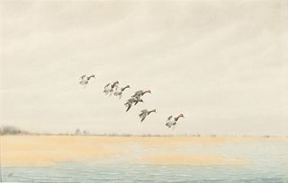 Joseph Day Knap (1875-1962), Maryland Marshes (Redheads)
