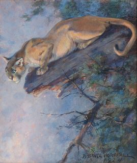 R. Bruce Horsfall (1869-1948), Wild Cat in Tree