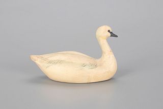 Miniature Trumpeter Swan, George H. Boyd (1873-1941)