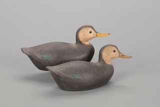 Miniature Black Duck Pair, George H. Boyd (1873-1941)