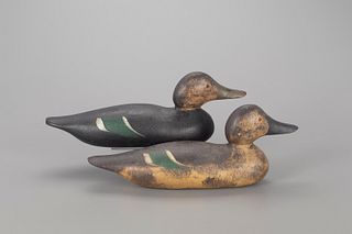 McCleery Pintail and Black Duck, Mason Decoy Factory (1896-1924)