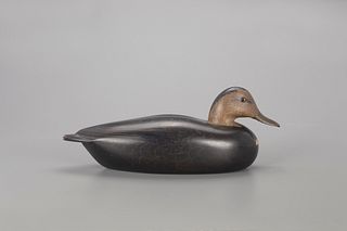 Black Duck Decoy, Charles R. Disbrow (1881-1954)