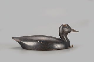 Black Duck Decoy, John R. Wells (1861-1953)
